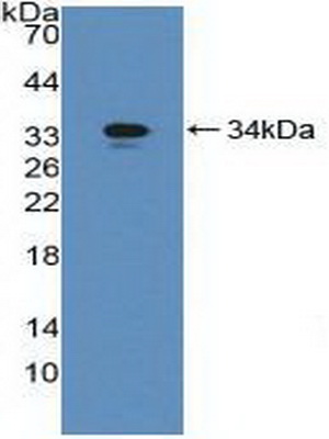 40314