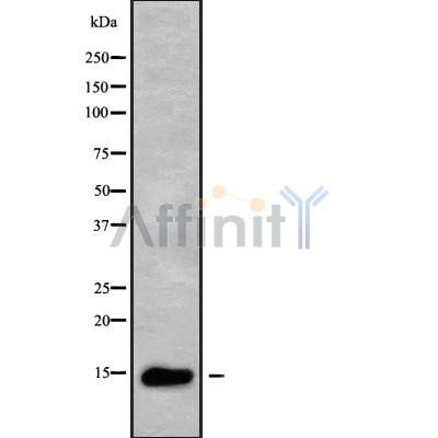 Валидация Affinity DF9455 - 22035