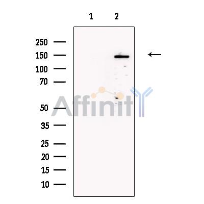 Валидация Affinity DF13237 - 8288