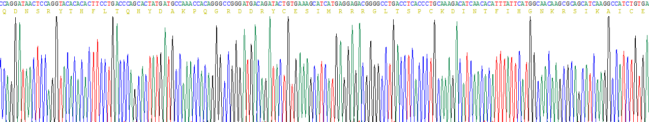 21214