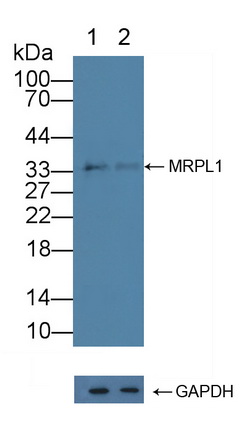 12228