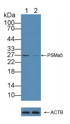 12192