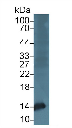 13605