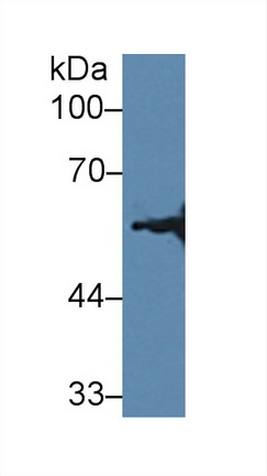 12844