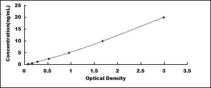 54786