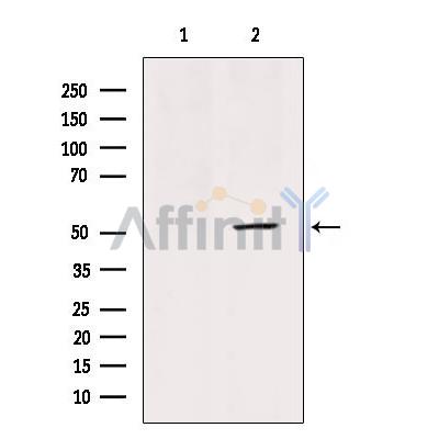 Валидация Affinity AF5463 - 3117