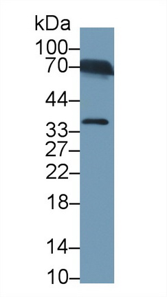 13487