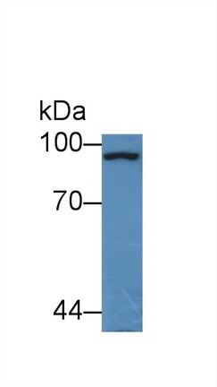 13780