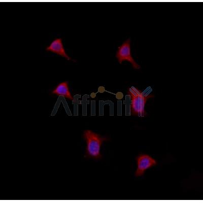 Валидация Affinity DF12119 - 6262