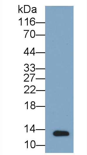 39386
