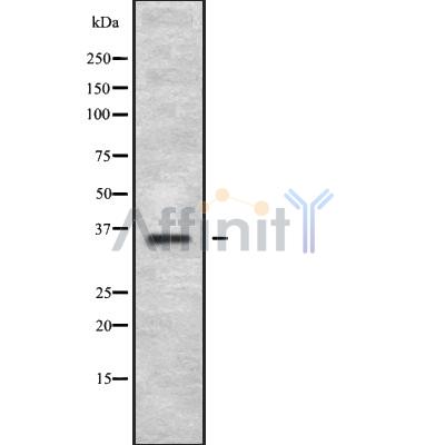 Валидация Affinity DF10029 - 5478