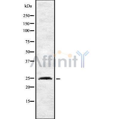 Валидация Affinity DF8990 - 21191