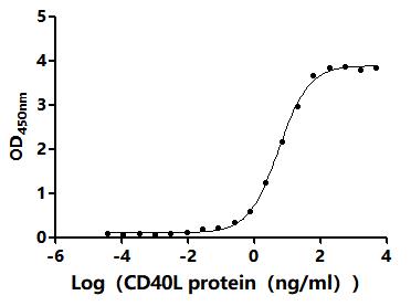 Функциональный ИФА: связывание мышиного CD40L с иммобилизованным мышиным CD40