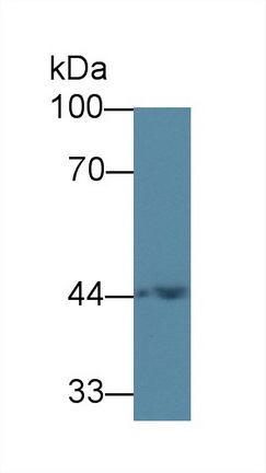 12825