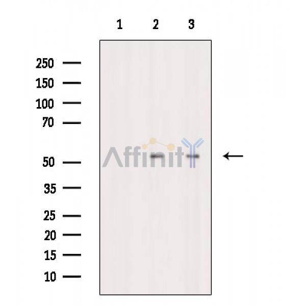 Валидация Affinity AF6889 - 4098