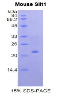 48148