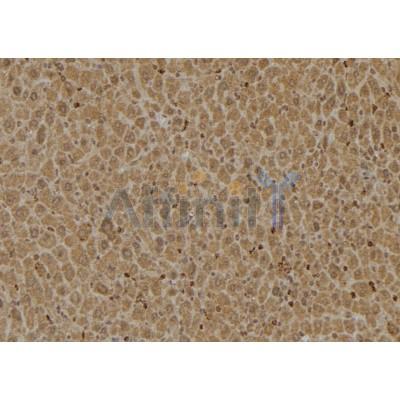 Валидация Affinity DF3851 - 14987