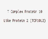 T Complex Protein 10 Like Protein 2 (TCP10L2)