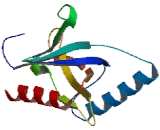 Adaptor Protein Phosphotyrosine Interaction PH Domain And leucine Zipper Containing Protein 2 (APPL2)