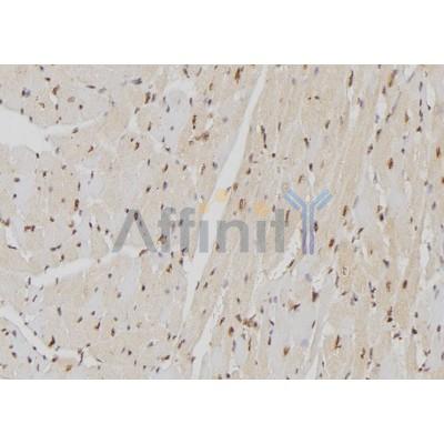 Валидация Affinity DF7356 - 19070