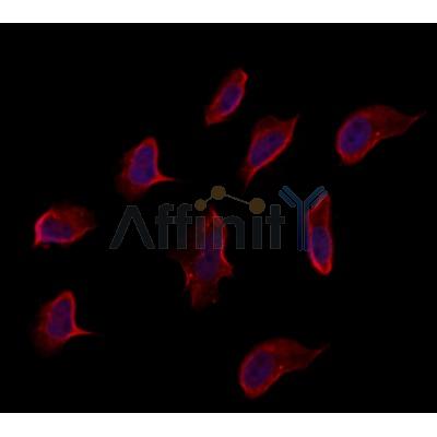Валидация Affinity DF12419 - 6923