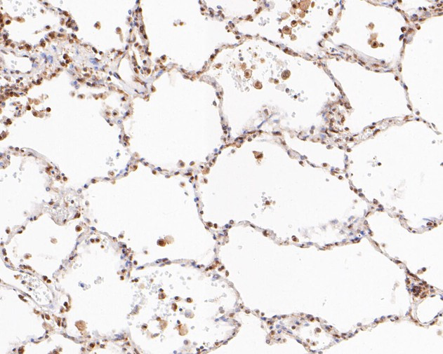 Валидация AssayVector ARM1186(516)