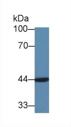 12829