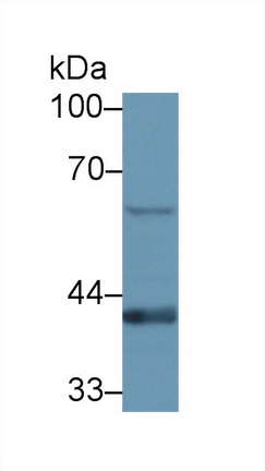 13130