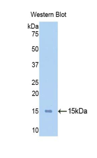 49600