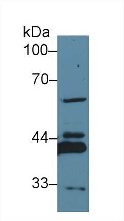 13589