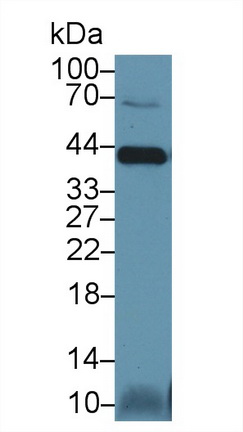 14640