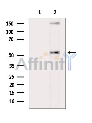 Валидация Affinity DF2450 - 13073