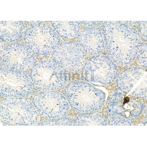 Валидация Affinity DF9560 - 22229