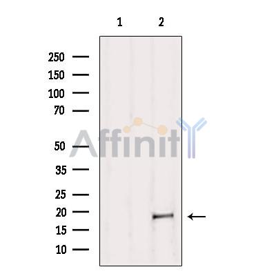 Валидация Affinity DF6880 - 18470