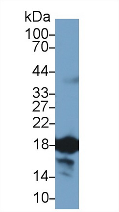 13675