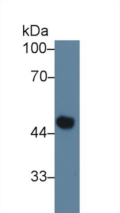 9407