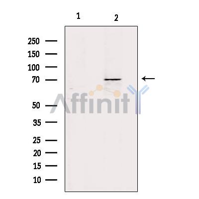 Валидация Affinity DF4641 - 16287
