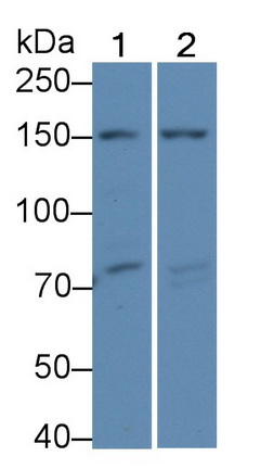 22040