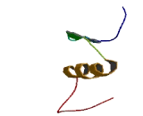 Zinc Finger Protein 688 (ZNF688)