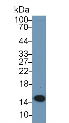 13679