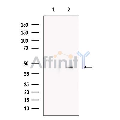 Валидация Affinity DF13344 - 8544