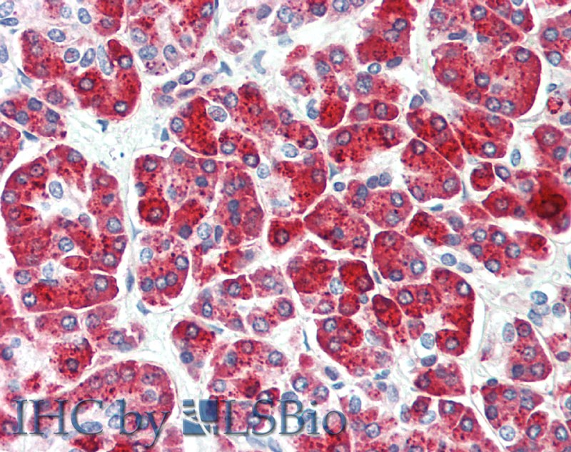 Валидация Elabscience E-AB-14889