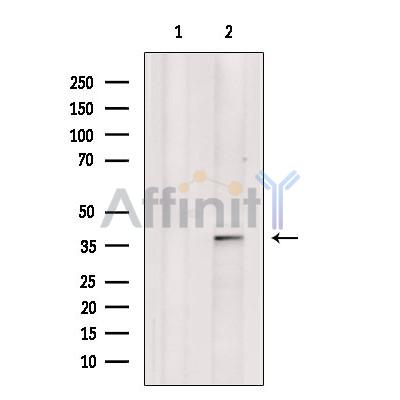 Валидация Affinity DF13601 - 9095