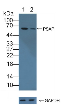 12237