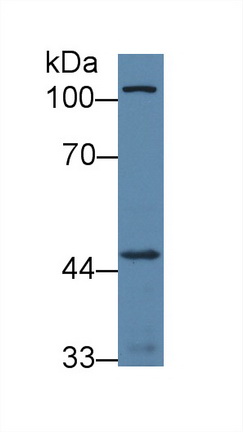 12586
