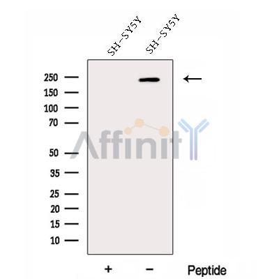 Валидация Affinity DF12956 - 7722