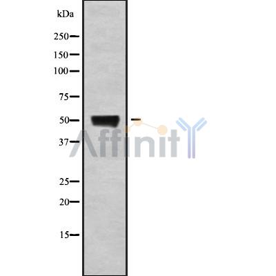 Валидация Affinity DF4923 - 16740
