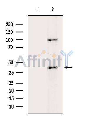 Валидация Affinity DF16089 - 12654