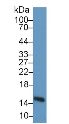 9185