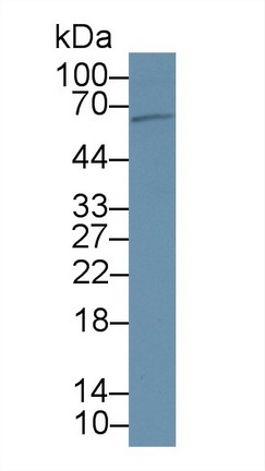 8884